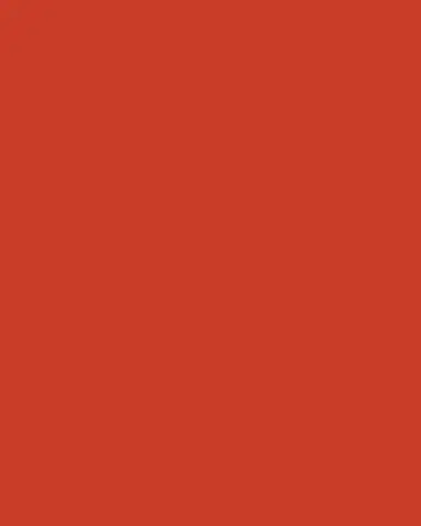 Test red dress
